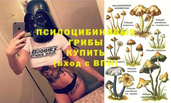 сатива Балабаново