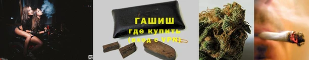 сатива Балабаново