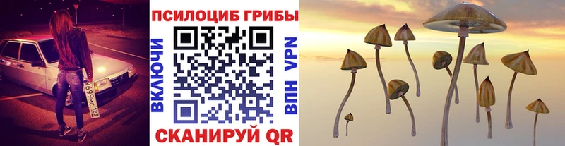 Псилоцибиновые грибы Psilocybe  Грязи 