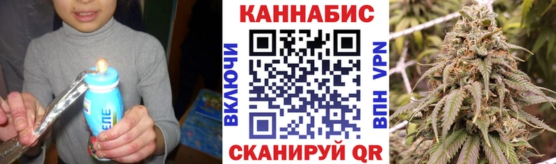 купить наркоту  Грязи  Шишки марихуана сатива 